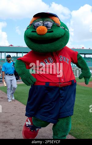 Boston Red Sox Wally the Green Monster Mascot Costume