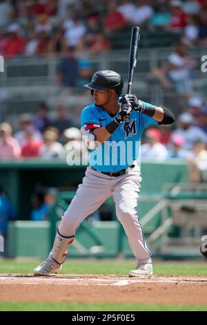 Miami Marlins Luis Arraez (3) with first base coach Jon Jay (11) during a  spring training baseball game against the Boston Red Sox on March 5, 2023  at JetBlue Park in Fort Myers, Florida. (Mike Janes/Four Seam Images via AP  Stock Photo - Alamy
