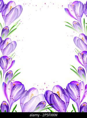 Watercolour background with lilac crocuses, spring flowers, hand drawn sketch, romantic illustration Stock Photo