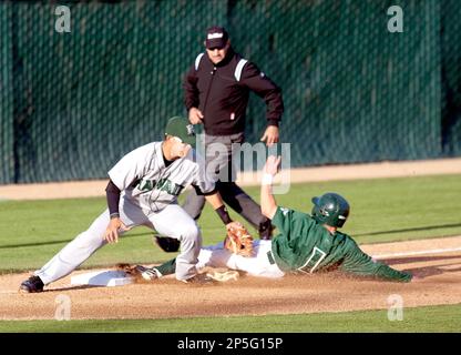 Denver Chavez - 2013 - Baseball - Cal Poly