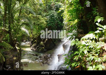 Idyllic shot of Kanto Lampo waterfall on Bali which flows into a river surrounded by rainforest. Stock Photo