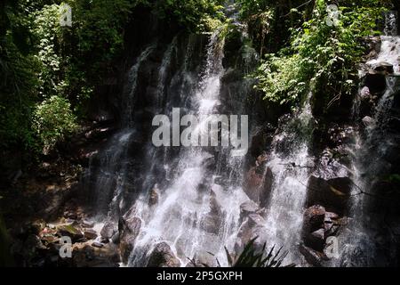 Close-up of Kanto Lampo waterfall in Ubud, Bali, flowing down black rocks in white, surrounded by rainforest. Stock Photo