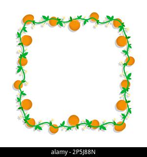 Square frame with mandarin fruit and blossoming orange branches. Weave border isolated on white background. Vector decorative element Stock Vector