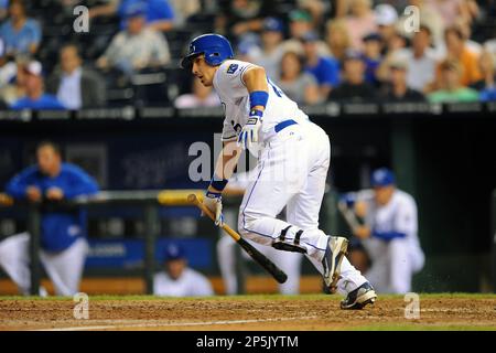 Matt Treanor sent to the Kansas City Royals - Lone Star Ball