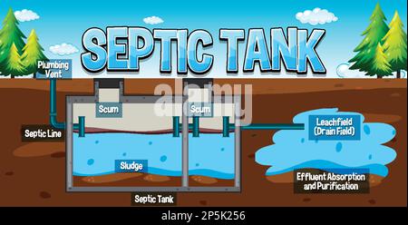 Septic tank system diagram illustration Stock Vector Image & Art - Alamy
