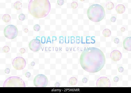 Soap bubble balls vector overlay Stock Vector