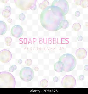 Soap bubble balls vector overlay Stock Vector