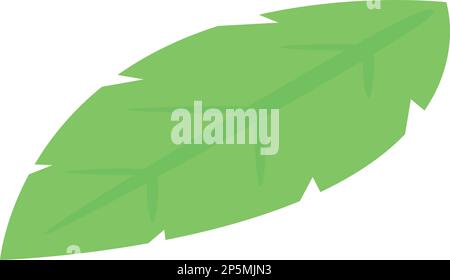 Basil leaf icon isometric vector. Fresh herb. Aromatic food Stock Vector