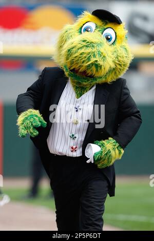 CHICAGO, IL- APRIL 9: Southpaw, the Chicago White Sox mascot entertains  fans in between innings during the game between the Tampa Bay Rays against  the Chicago White Sox at U.S. Cellular Field