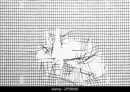 Torn window screen against white background, closeup Stock Photo