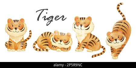 Tiger . Realistic watercolor paint of wildlife animals with paper textured . Cartoon character design . Vector . Stock Vector