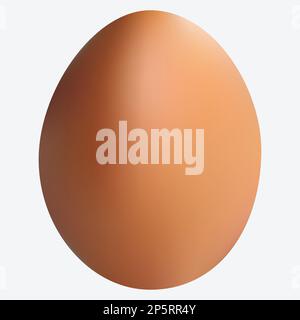 realistic white , dark and light brown chicken eggs. Vector illustration isolated on white background Stock Vector