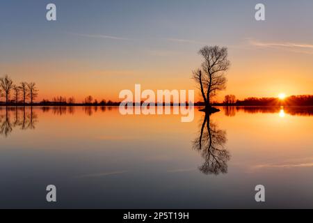 Silhouette tree at sunset in lake Stock Photo