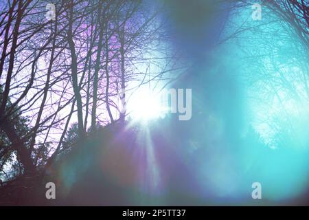 Psychic waves of light in nature, spirituality and religious belief ...