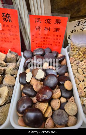 A variety of traditional Chinese and herbal medicines produced locally in Xinjiang, China, in the Grand Bazaar in Urumqi, Xinjiang, China Stock Photo