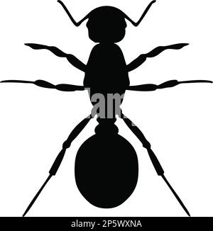 Ant Silhouette Black and White Illustration Stock Photo - Alamy