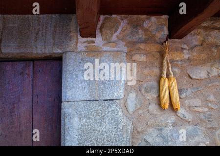 Corn cobs hanging on the facade of a house, Els Hostalets d'en Bas, Garrotxa,Girona province. Catalonia. Spain Stock Photo