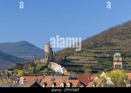 Kaysersberg castle, Chateau de Kaysersberg, Alsace, France Stock Photo