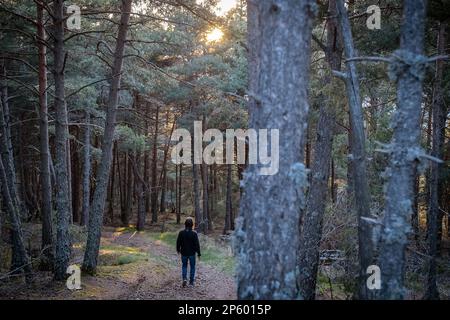 Man walking near Turó Galliner lookout, in Cadí-Moixeró Natural Park, Catalonia, Spain Stock Photo