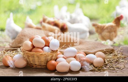 Basket of colorful chicken eggs on a wooden table in the chicken farm Stock Photo