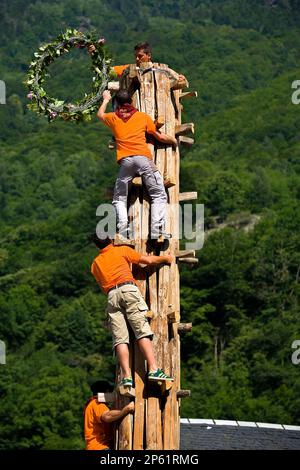 Lleida (Aran valley): Les. Haro´s party ( Trunk of fir of approximately 11 meters of length).Quilhada.Men putting the offering in the top of the Haro. Stock Photo
