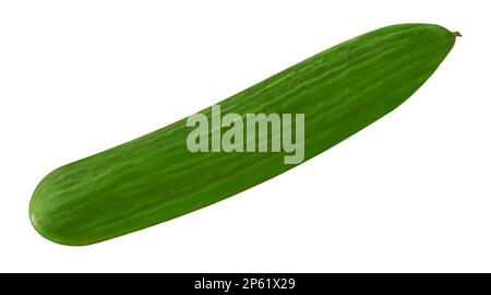 Cucumber isolated on white background Stock Photo