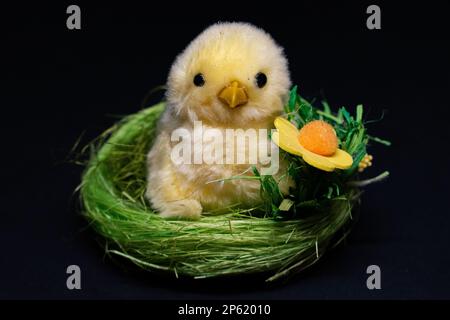 easter decoration of a chick in nest Stock Photo