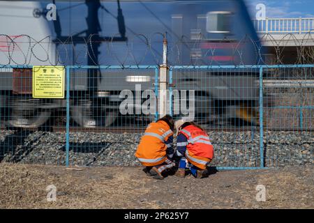 (230307) -- HARBIN, March 7, 2023 (Xinhua) -- Inspectors Cao Rui (L) and Zhang Dan work along the Binzhou railway line in Daqing, northeast China's Heilongjiang Province, March 6, 2023. At the Dorbod railway line maintenance section of China Railway Harbin Bureau Group Co., Ltd., there is a six-member team of female inspectors with an average age of 29. Their responsibilities include maintaining the railway lines for grain and oil transport, as well as 148 kilometers of Binzhou railway line, which is a crucial part of China-Europe rail transport service line. Despite facing challenging conditi Stock Photo