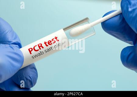 Covid test laboratory procedure. Antigen rapid, antibody, PCR, PCR-LAMP test in laboratory conditions. against a blue background Stock Photo