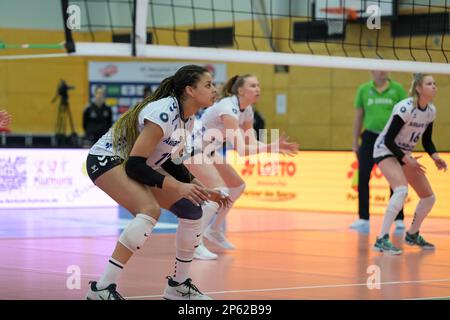 Neuwied, Germany. 4th March, 2023. Alexis Hart (17 Stuttgart) during the mainround of the 1. Volleyball Bundesliga Frauen match between VC Neuwied 77 Stock Photo