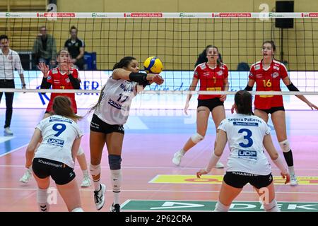 Neuwied, Germany. 4th March, 2023. Alexis Hart (17 Stuttgart) plays the ball during the mainround of the 1. Volleyball Bundesliga Frauen match between Stock Photo