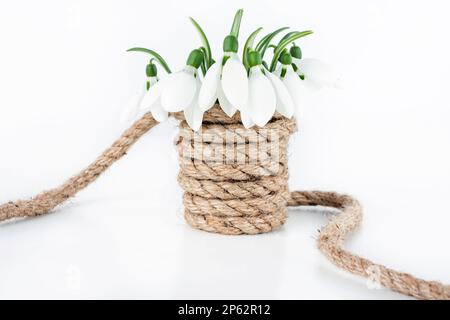 Snowdrop bouquet in vase isolated on white background Stock Photo