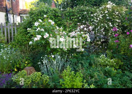 A perfect cottage garden border at the height of summer Stock Photo