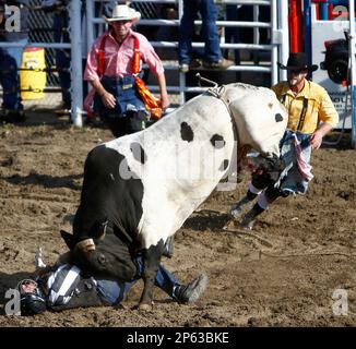 Bull Riding at the Angola State Prison Rodeo in Louisiana State ...