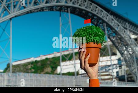 Hand with Manjerico plant against Porto bridge Stock Photo