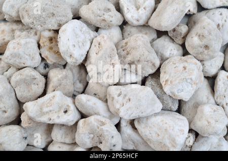 Porous white volcanic rock isolated on white background. Lava stone, pumice stone, or volcanic pumice with distinctive pores. Stock Photo