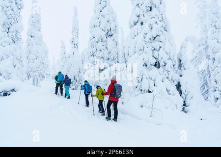 Family enjoying walking in a frozen snowy forest on a winter trail, Riisitunturi National Park, Posio, Lapland, Finland, Europe Stock Photo