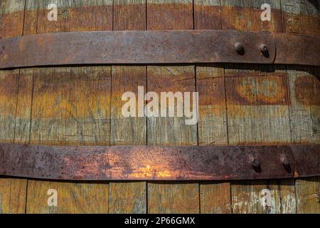 Old wood panels texture with rusty metal background. Stock Photo