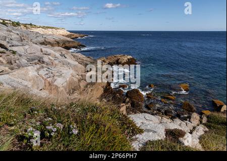 Rocky Shoreline at Duncan's Cove Nature Reserve, Nova Scotia, Canada, North America Stock Photo