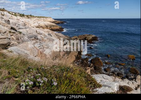 Rocky Shoreline at Duncan's Cove Nature Reserve, Nova Scotia, Canada, North America Stock Photo