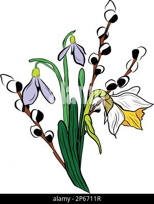 Vector drawing bouquet willow and snowdrops Stock Vector
