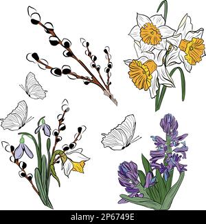 Vector drawing bouquet with butterflies, willow branch and snowdrops Stock Vector