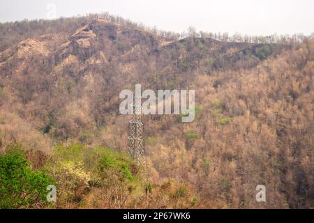 Tropical mountain semi-deciduous forest in winter season. Sri Lanka Stock Photo