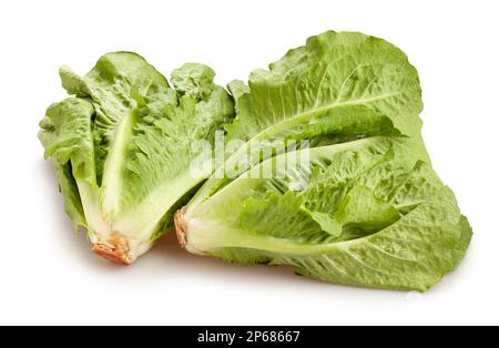 romaine lettuce path isolated on white Stock Photo