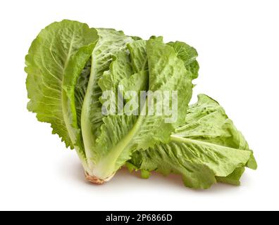 romaine lettuce path isolated on white Stock Photo