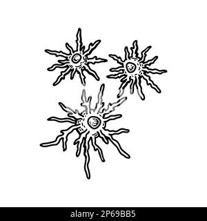 Dendritic blood cell isolated on white background. Hand drawn scientific microbiology vector illustration in sketch style Stock Vector