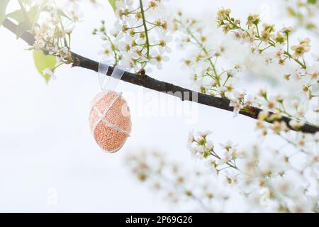 Pink colored Easter egg on a tree branch with white flowers. Celebration of Easter. Easter card with bird cherry flowers Stock Photo