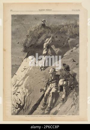 After Winslow Homer, Raid on a Sand-Swallow Colony—'How Many Eggs', 13 June 1874, wood engraving on newsprint. Stock Photo