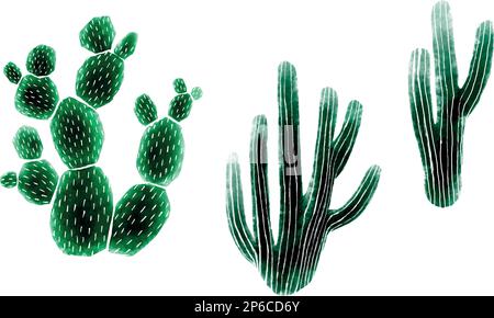 Cactus set vector design illustration isolated on white background 1844289  Vector Art at Vecteezy