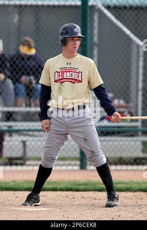 Alex Bregman.  Four Seam Images